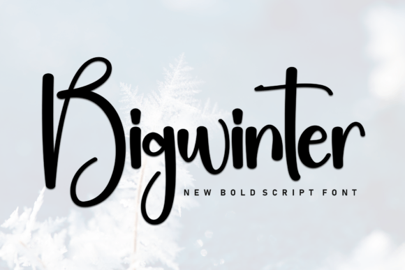 Bigwinter: The Bold Script Typeface for Playful Editorial Design