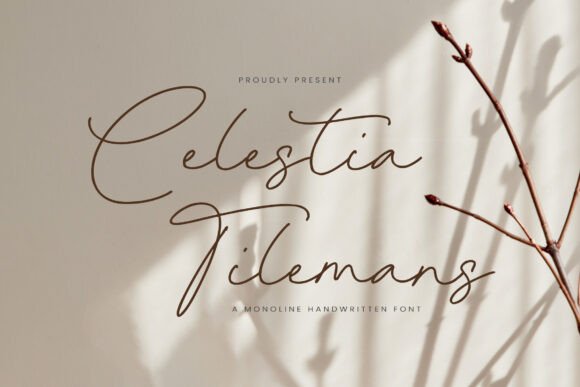 Celestia Tilemans: The Modern Typeface for Scroll-Stopping Campaigns