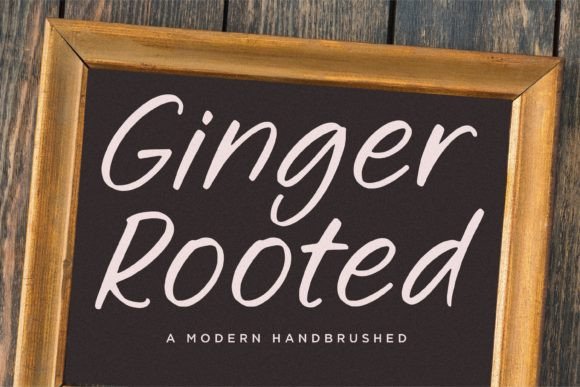 Ginger Rooted: The Script Font That Elevates Your Brand Story